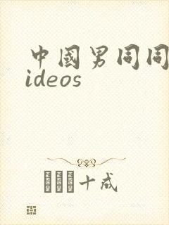 中国男同同性videos