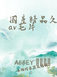 国产精品久久久av毛片