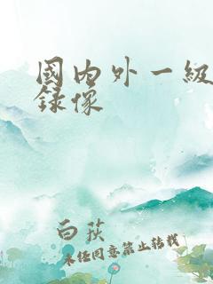 国内外一级黄色录像