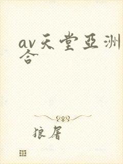 av天堂亚洲综合
