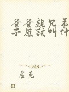 爸爸亲兄弟的儿子应该叫什么