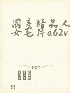 国产精品人妻熟女毛片a62v久久