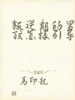 叛逆期的男孩子该怎样引导教育