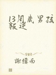 13周岁男孩子叛逆