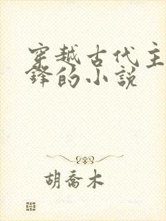 穿越古代主角金锋的小说