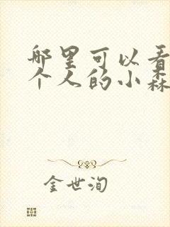 哪里可以看到两个人的小森林全集