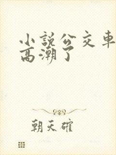 小说公交车被上高潮了