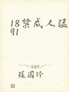 18禁成人猛撞91