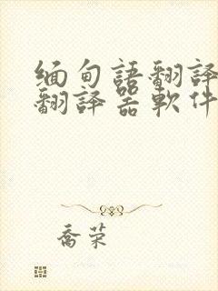 缅甸语翻译中文翻译器软件