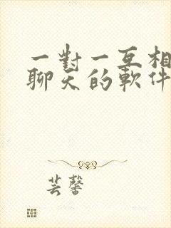 一对一互相视频聊天的软件