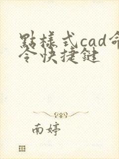 点样式cad命令快捷键