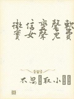 微信变声软件真实女声免费