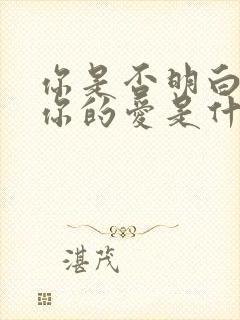 你是否明白我对你的爱是什么歌