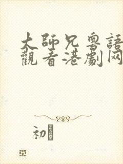 大师兄粤语在线观看港剧网