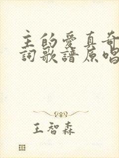 主的爱真奇妙歌词歌谱原唱