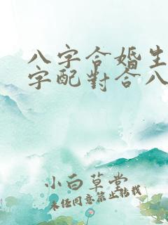 八字合婚生辰八字配对合八字姻缘测试