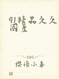 91精品久久久国产