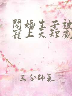 闪婚生子被老公宠上天短剧全集