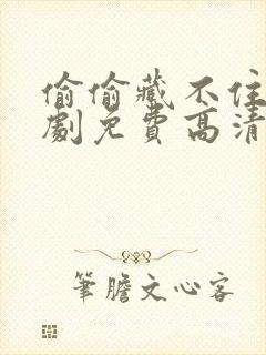 偷偷藏不住电视剧免费高清完整版