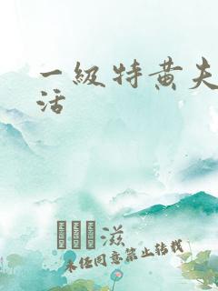 一级特黄夫妻生活