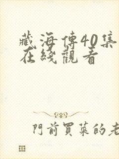 藏海传40集全在线观看