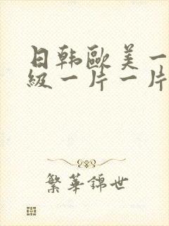 日韩欧美一级一级一片一片