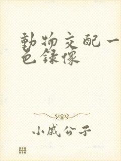 动物交配一级黄色录像