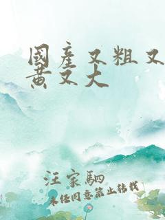 国产又粗又爽又黄又大