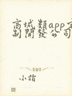 商城类app定制开发公司