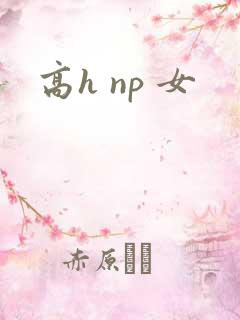 高h np 女