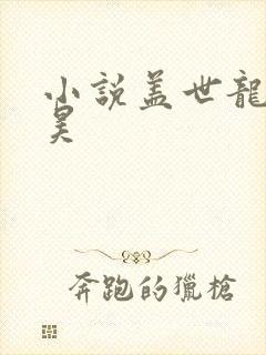 小说盖世龙医陈昊