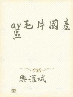 av毛片国产一区