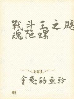 战斗王之飓风战魂陀螺