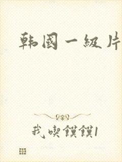 韩国一级片中出