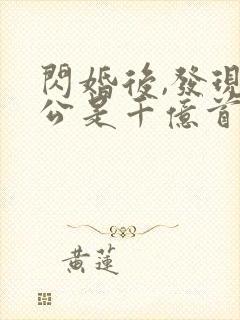 闪婚后,发现老公是千亿首富阅读全文