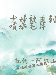 少妇被爽到高潮喷水毛片