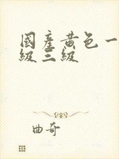 国产黄色一级二级三级