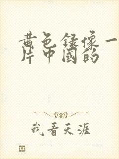 黄色录像一级大片中国的