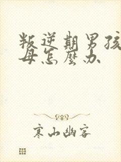 叛逆期男孩骂父母怎么办