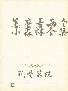 怎么看两个人的小森林全集