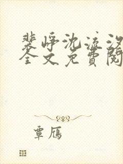 裴峥沈流汐小说全文免费阅读