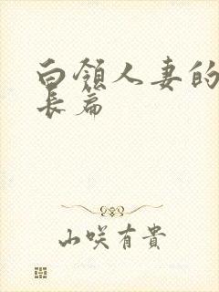 白领人妻的沉沦长篇