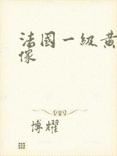 法国一级黄色录像