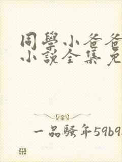 同学小爸爸李凯小说全集免费阅读