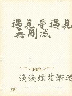 遇见爱遇见幸福 无删减