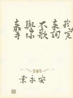 来与不来我都在等你歌词完整版