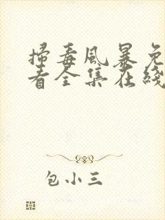 扫毒风暴免费观看全集在线观看