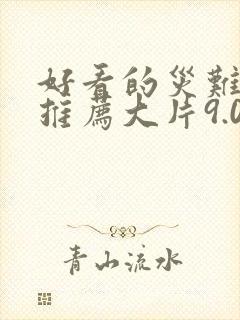 好看的灾难电影推荐大片9.0以上评分