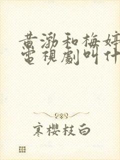 黄渤和梅婷演的电视剧叫什么名字