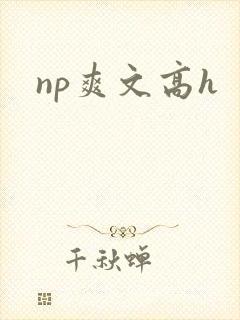 np爽文高h